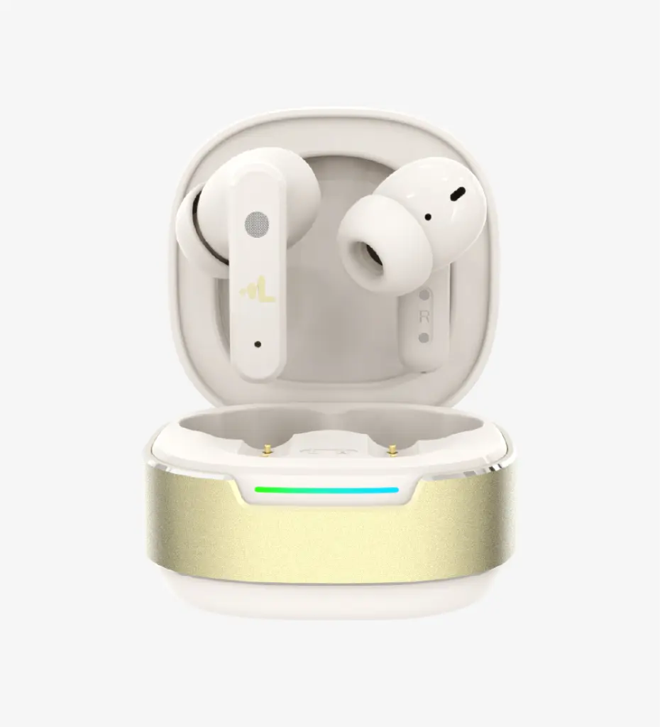 Artboard 1 copy 62.webp