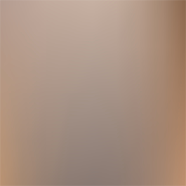 Color: DESERT TITANIUM